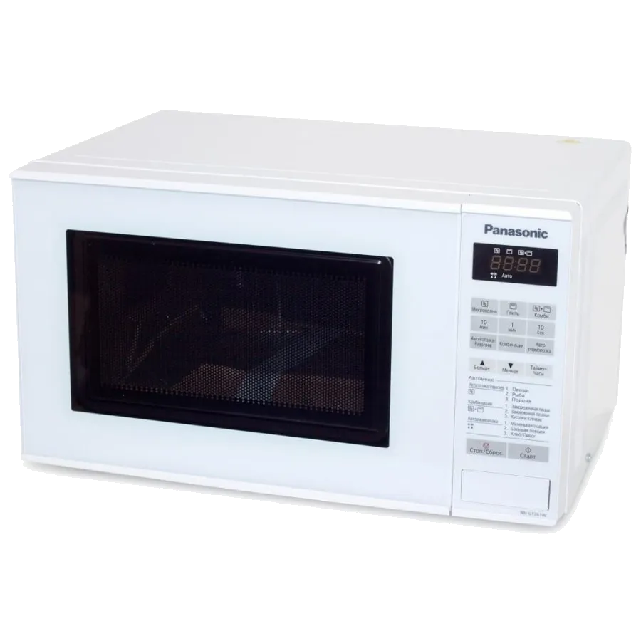 NN-GT261W